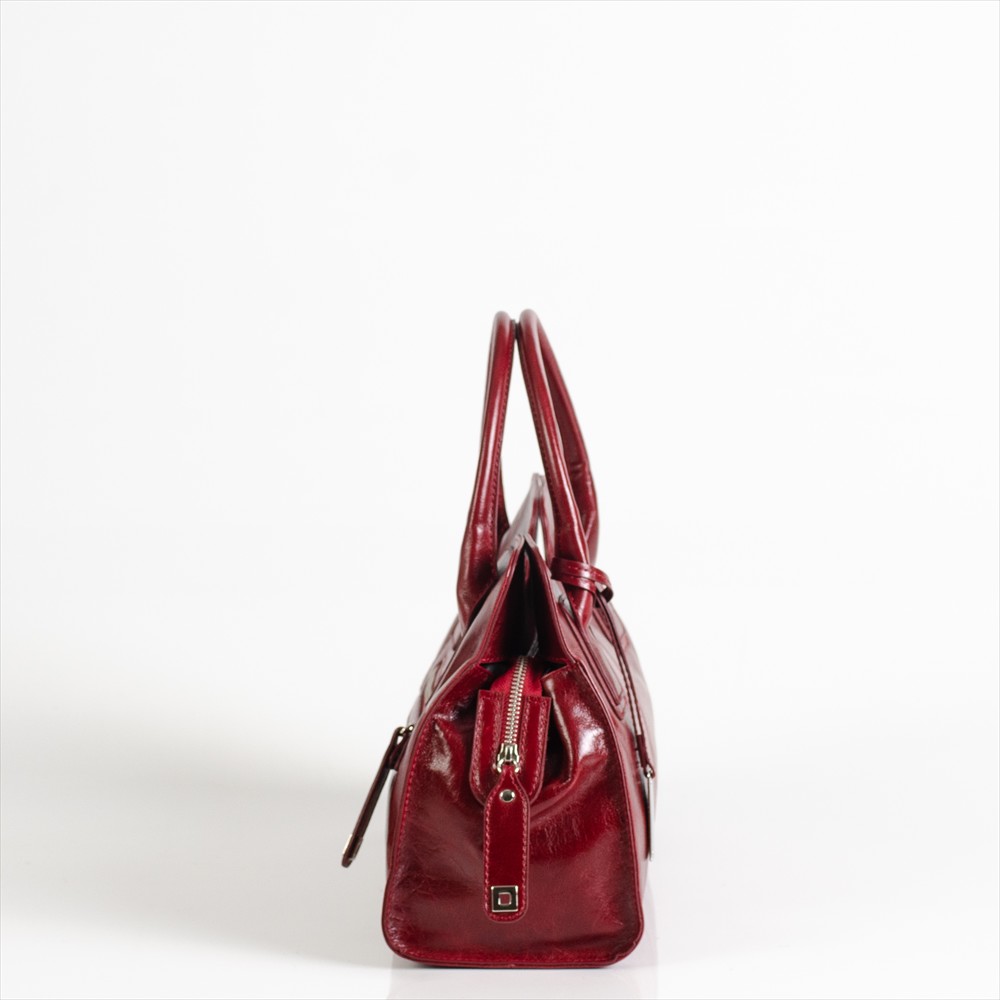 103-09c1-azaliya-bordo-4502-2