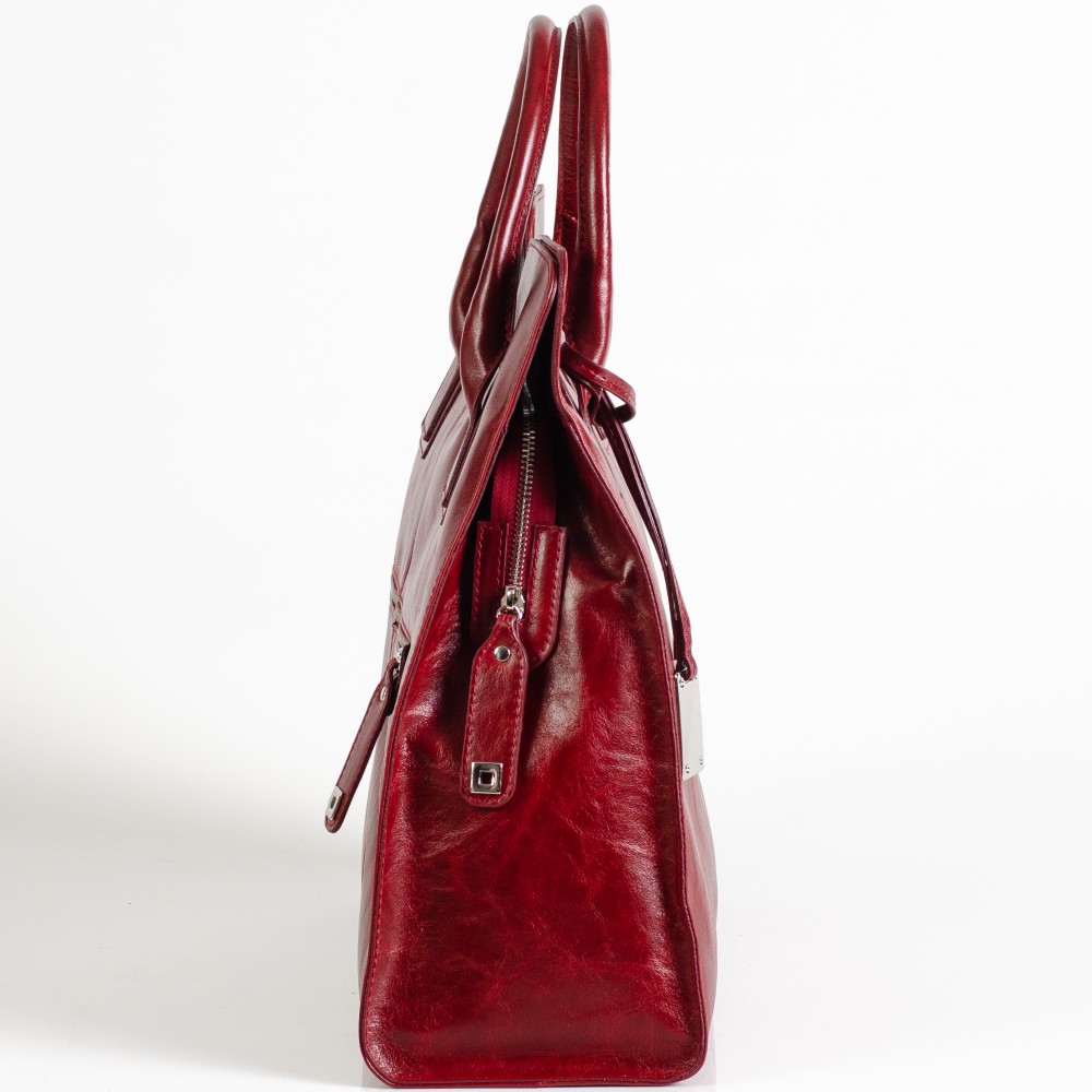 102-09c1-azaliya-bordo-4502-2