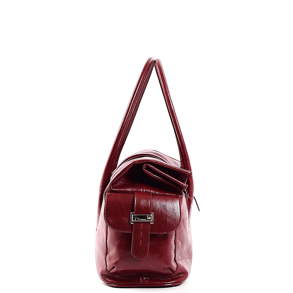 032-07c-azaliya-bordo-2